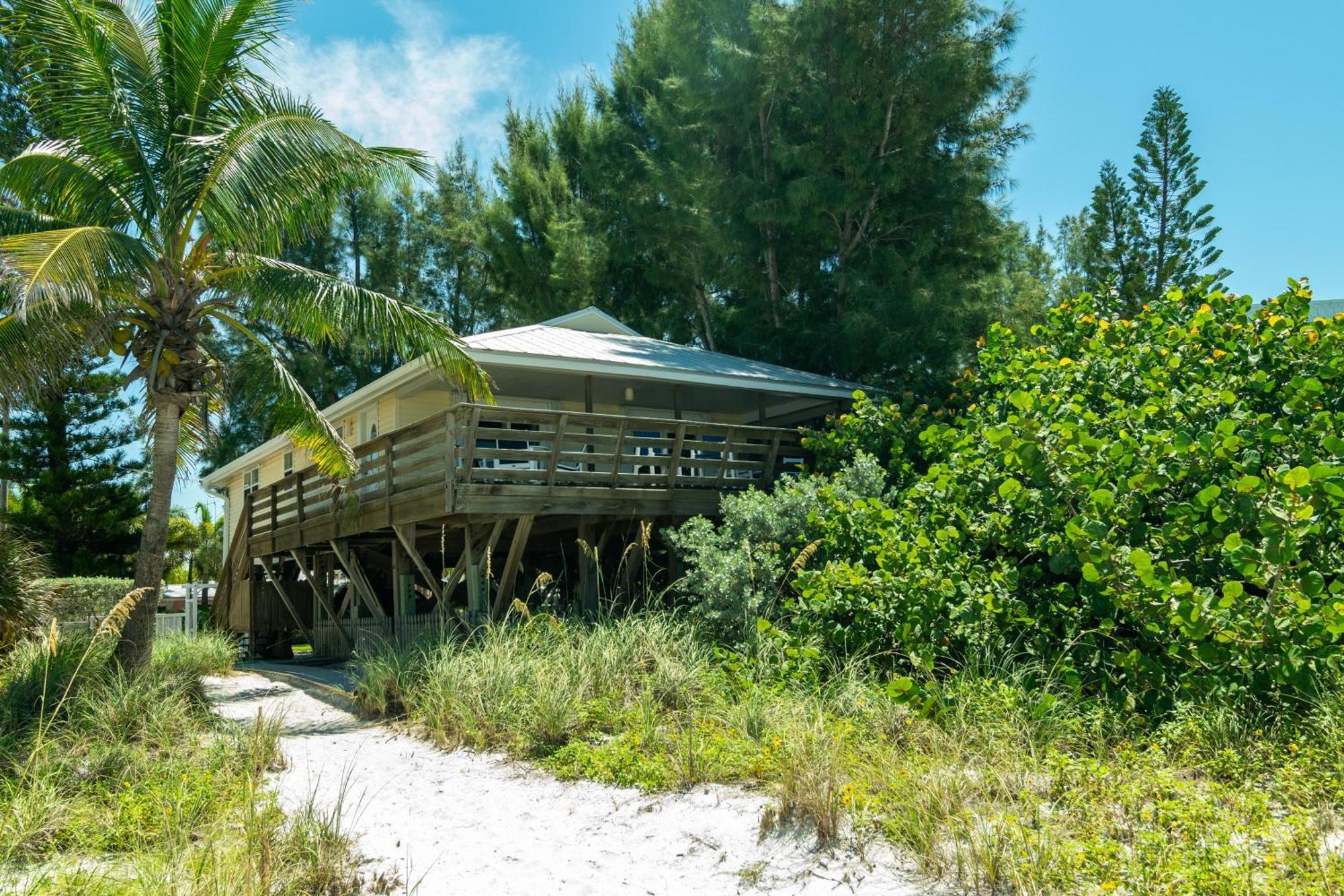 霍姆斯海滩The Tiki House别墅 外观 照片